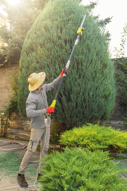 Best Grass Overseeding  in Campbell, FL