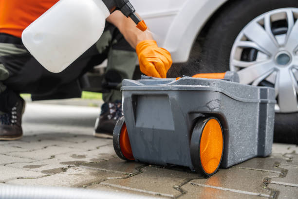 Best Root Management and Removal  in Campbell, FL